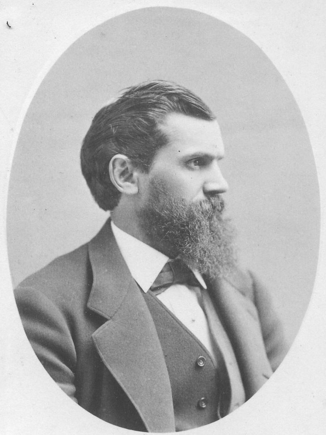 David Cluff Marchant (1838 - 1913) Profile
